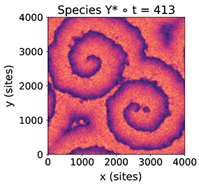 Spiral wave formation in a simulation of the Brusselator system on a lattice with 16 million sites, distributed over 625 MPI processes.